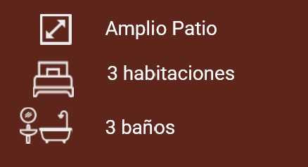 Características